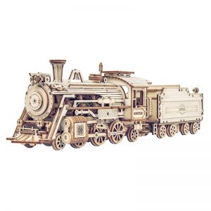 ROKR Prime Steam Express MC501